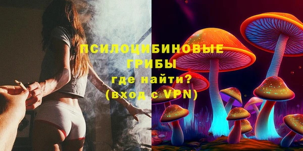 тгк Сатка